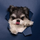 shunbiao.qi's avatar